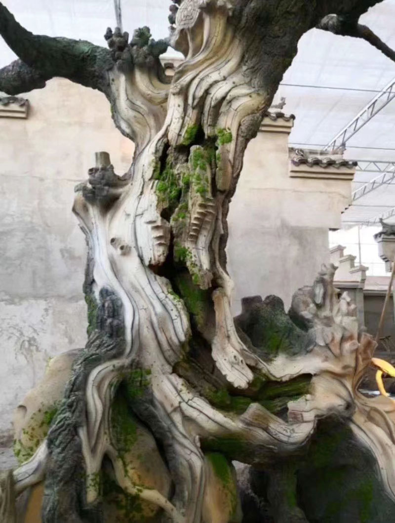 亚洲香蕉在线观看树安装