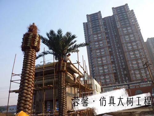 亚洲香蕉在线观看大树