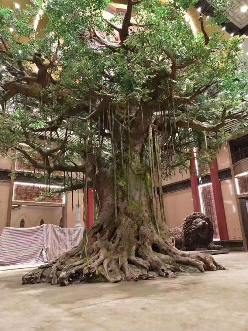 亚洲香蕉在线观看假树